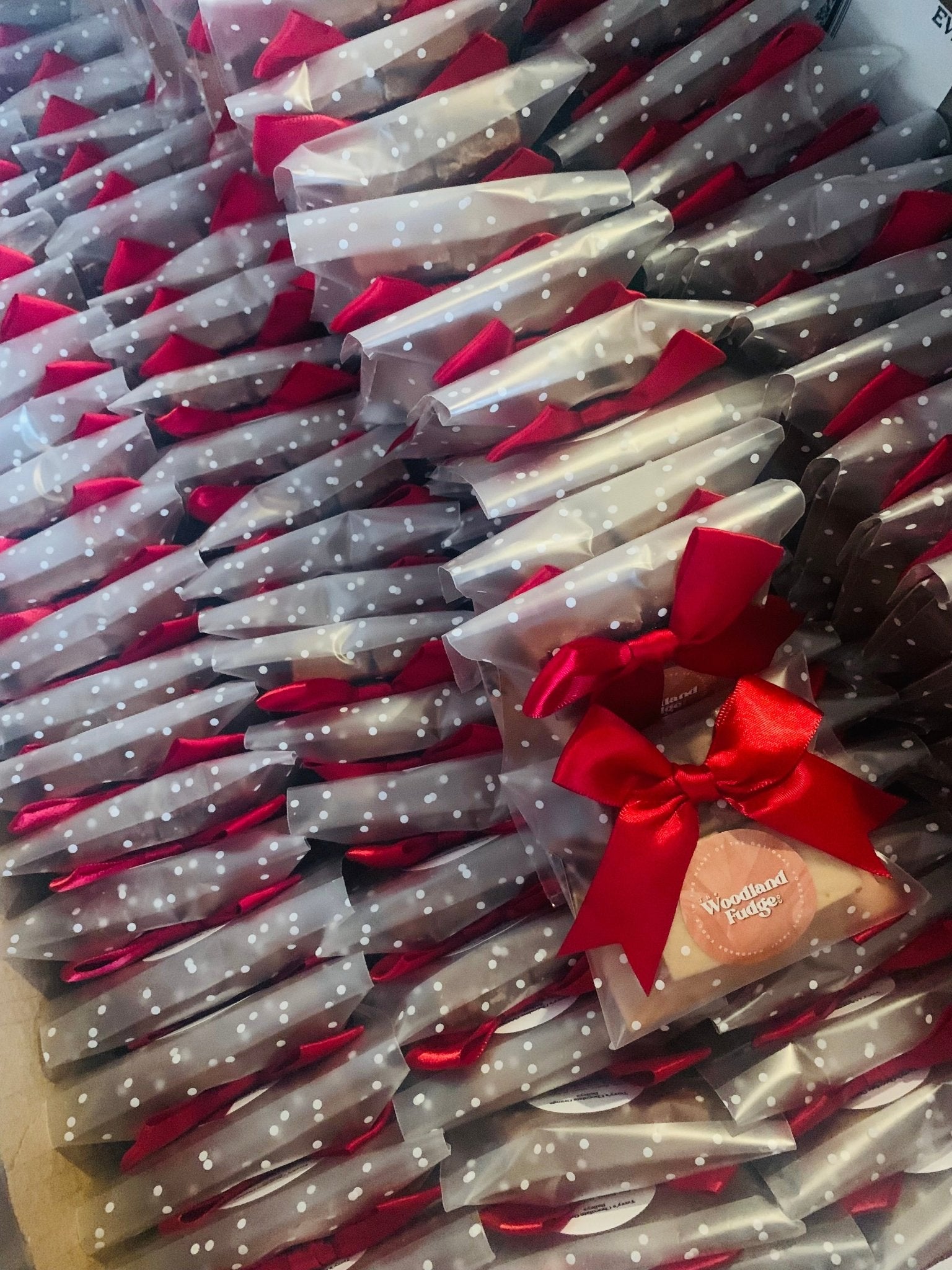 4 Cube Fudge Gift Bag - The Woodland Fudge Co.